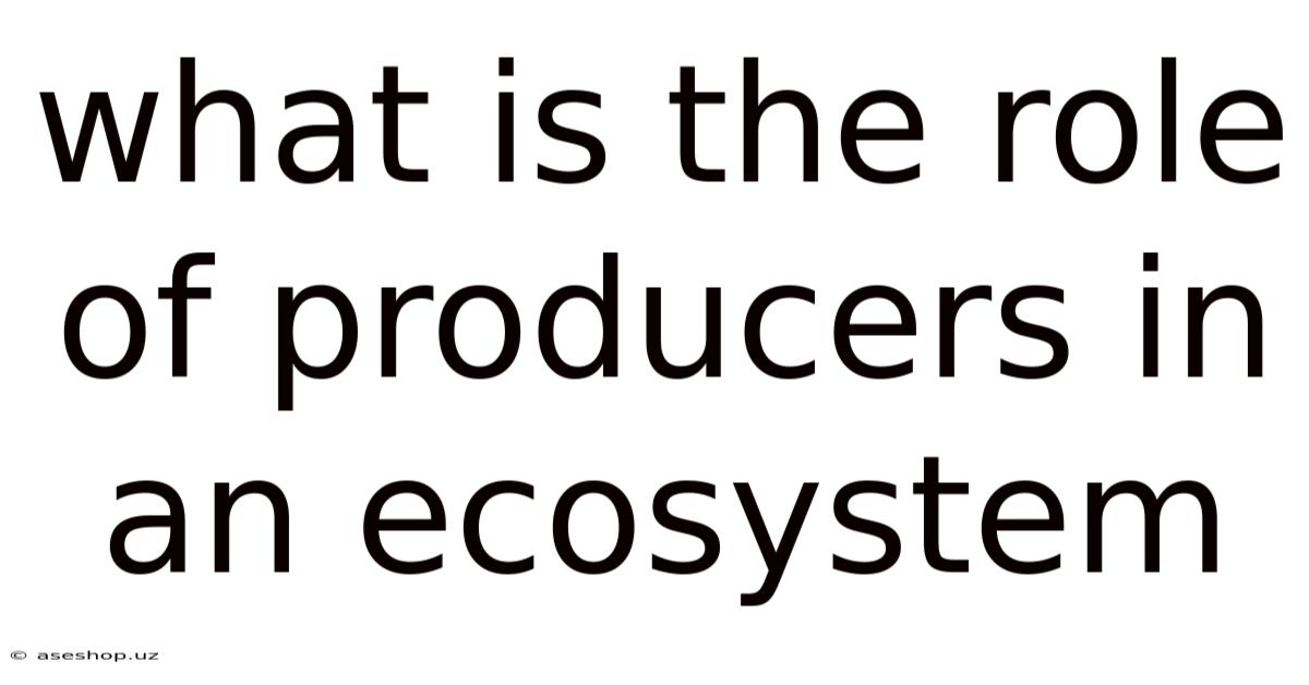 What Is The Role Of Producers In An Ecosystem