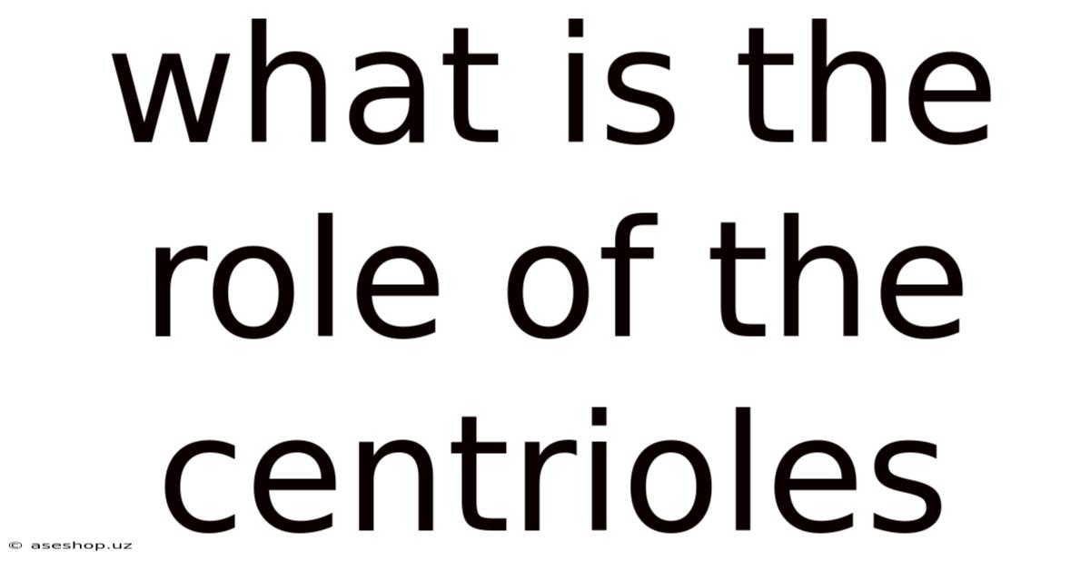 What Is The Role Of The Centrioles