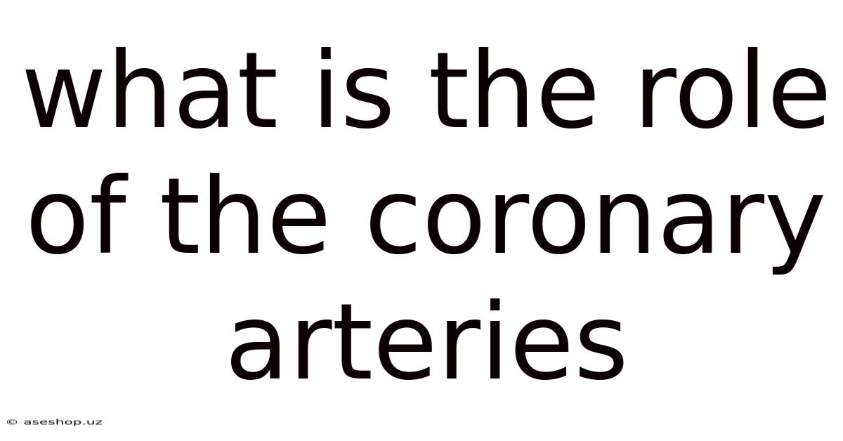 What Is The Role Of The Coronary Arteries