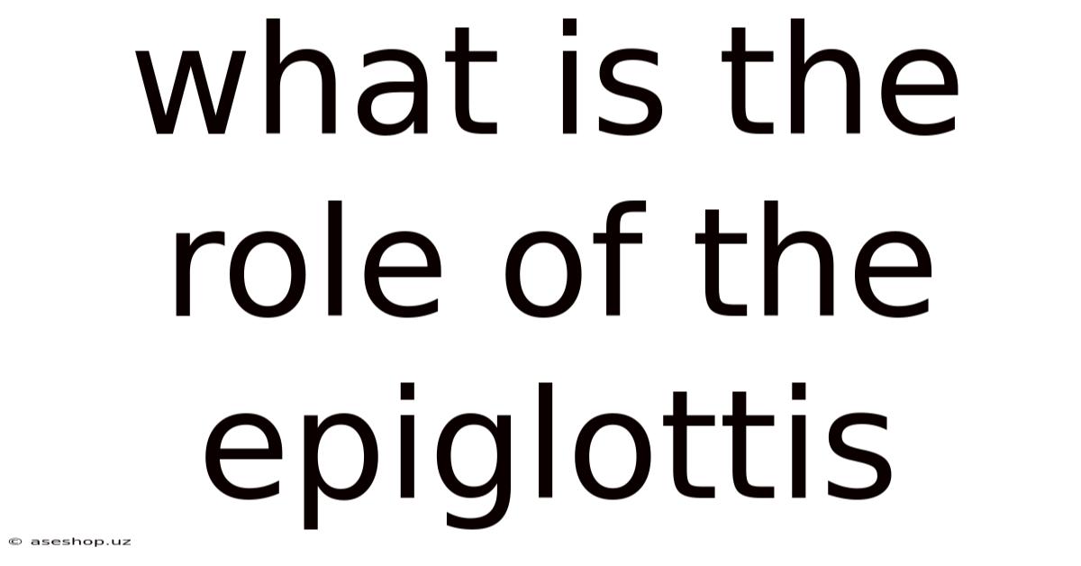 What Is The Role Of The Epiglottis