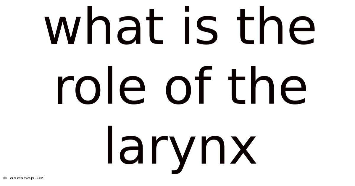 What Is The Role Of The Larynx