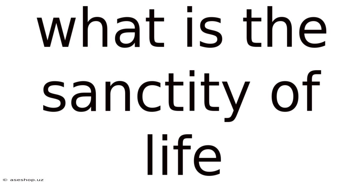What Is The Sanctity Of Life