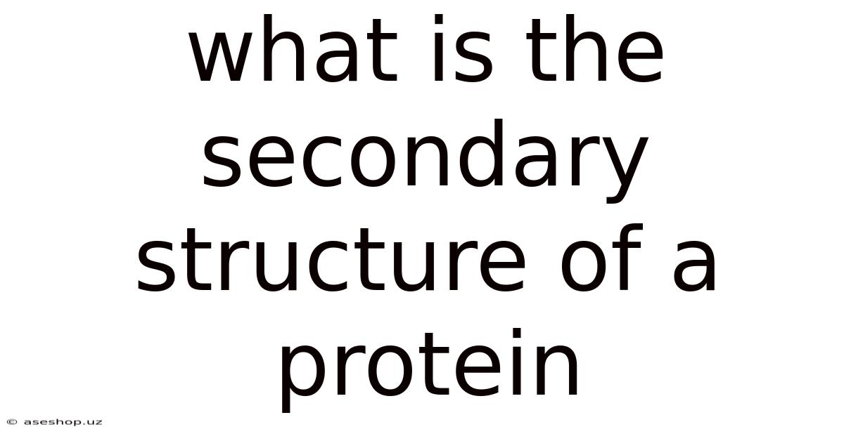 What Is The Secondary Structure Of A Protein