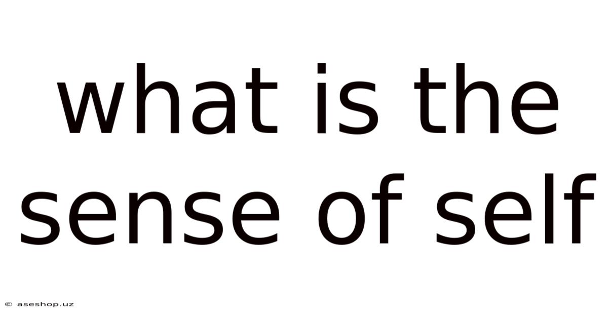 What Is The Sense Of Self