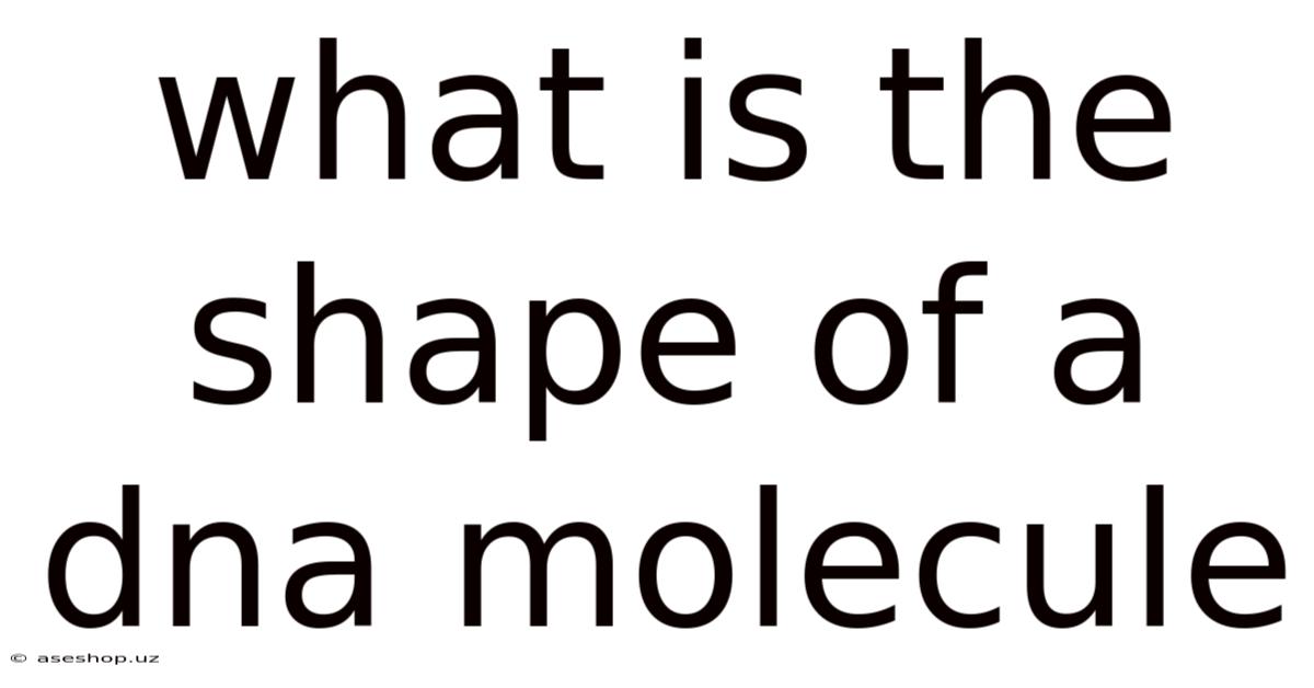 What Is The Shape Of A Dna Molecule