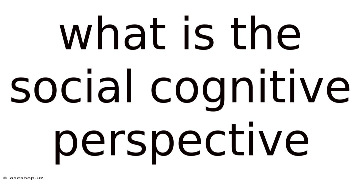 What Is The Social Cognitive Perspective