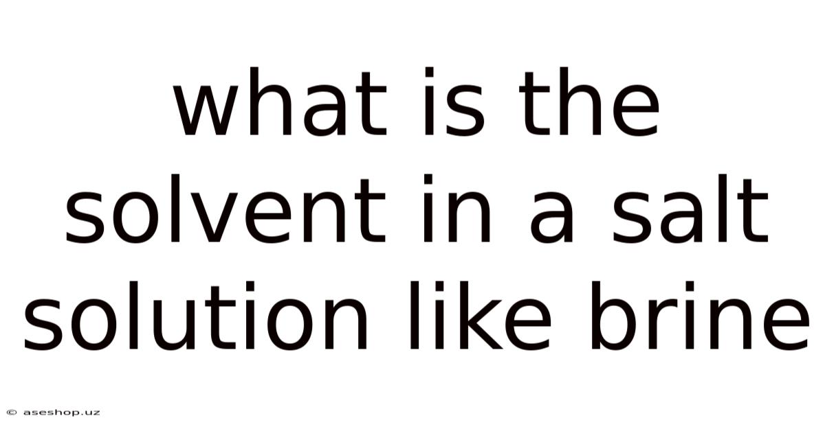 What Is The Solvent In A Salt Solution Like Brine