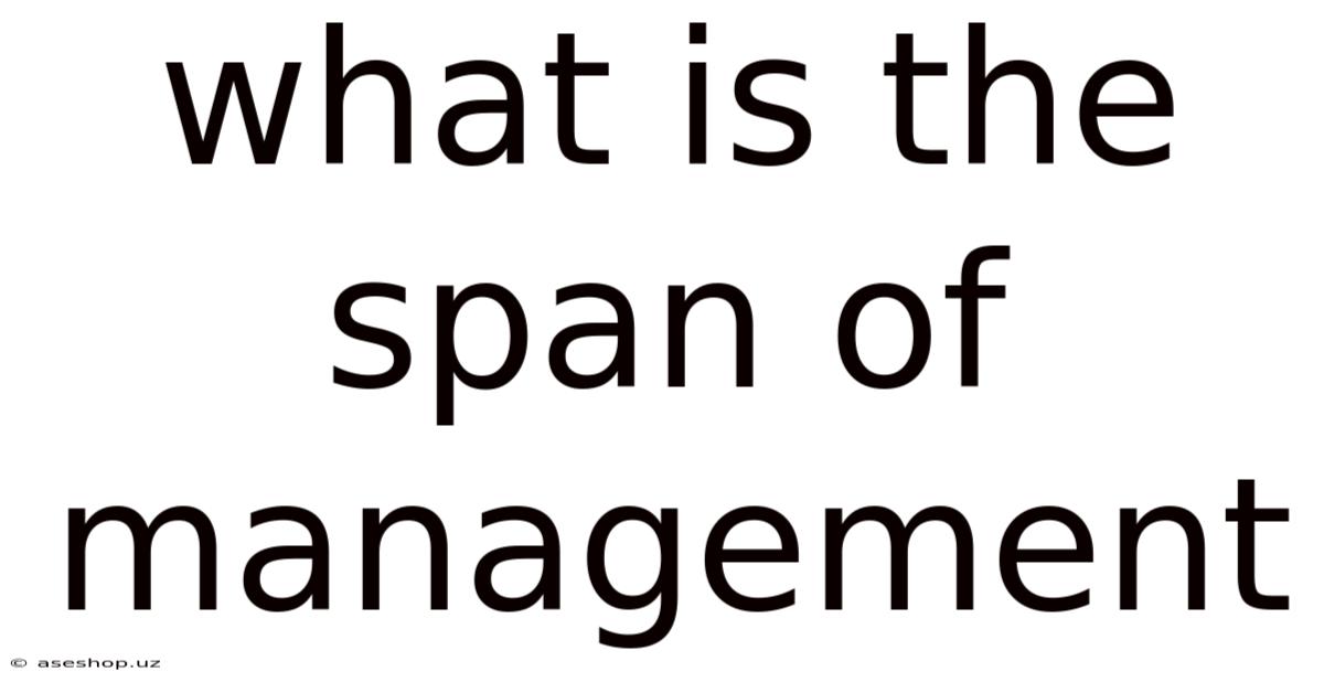 What Is The Span Of Management