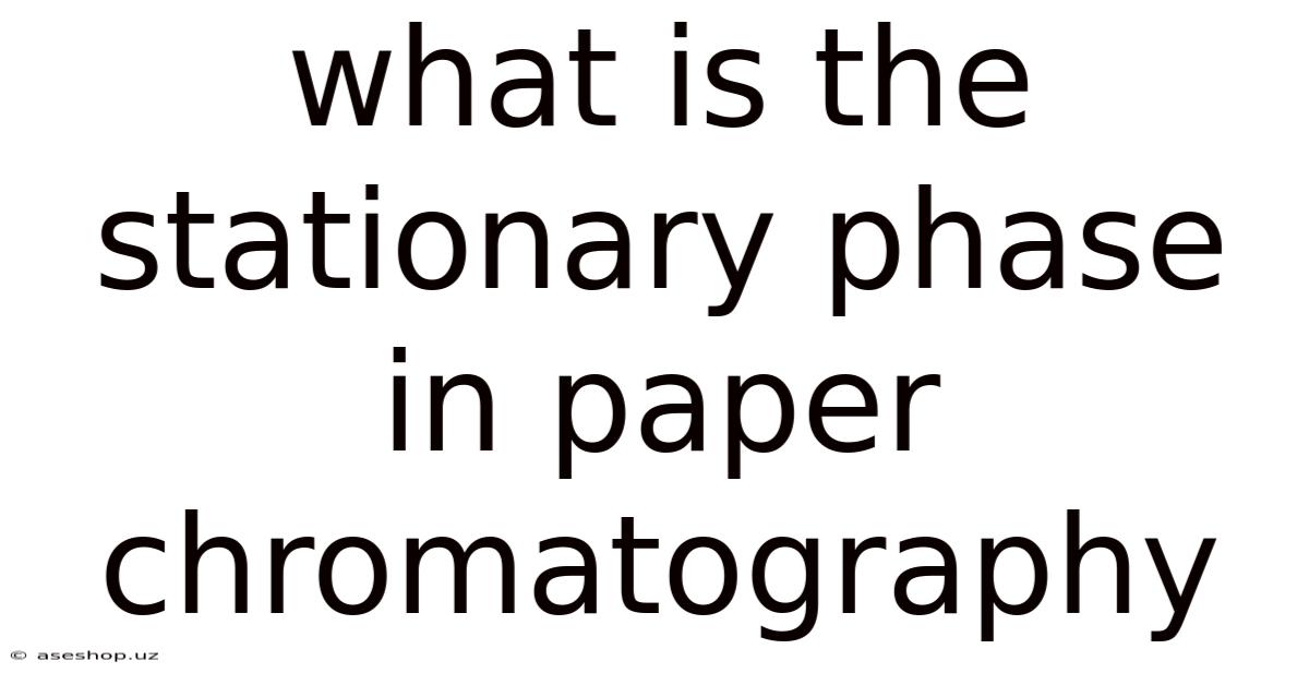 What Is The Stationary Phase In Paper Chromatography
