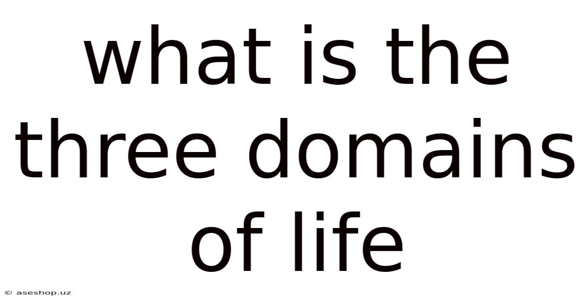 What Is The Three Domains Of Life