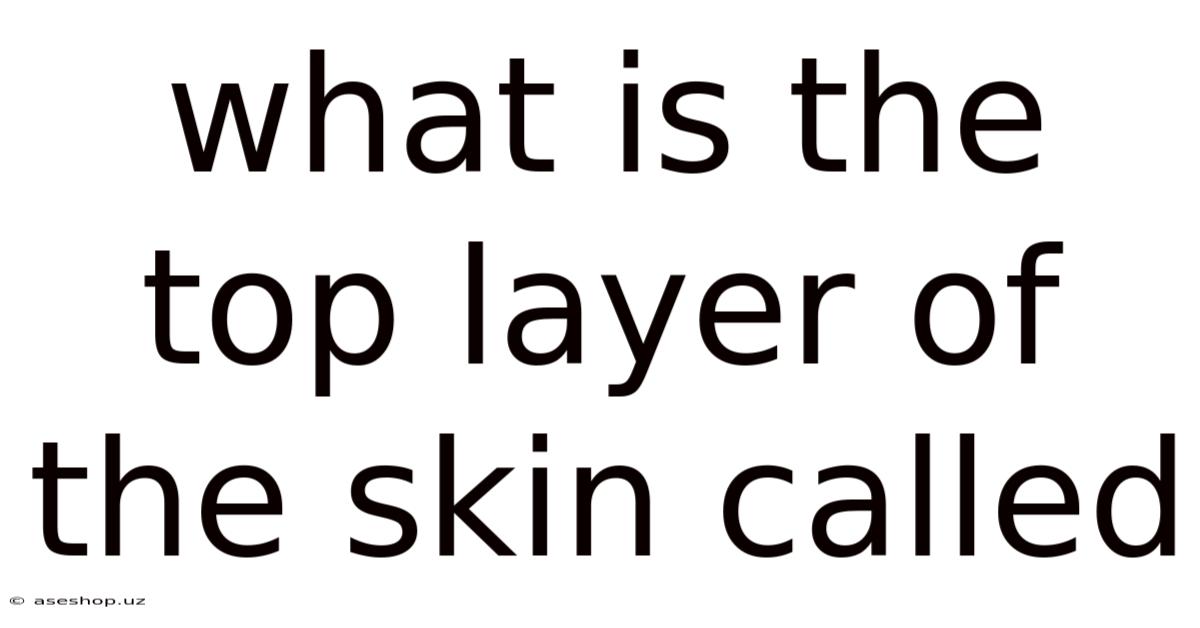 What Is The Top Layer Of The Skin Called