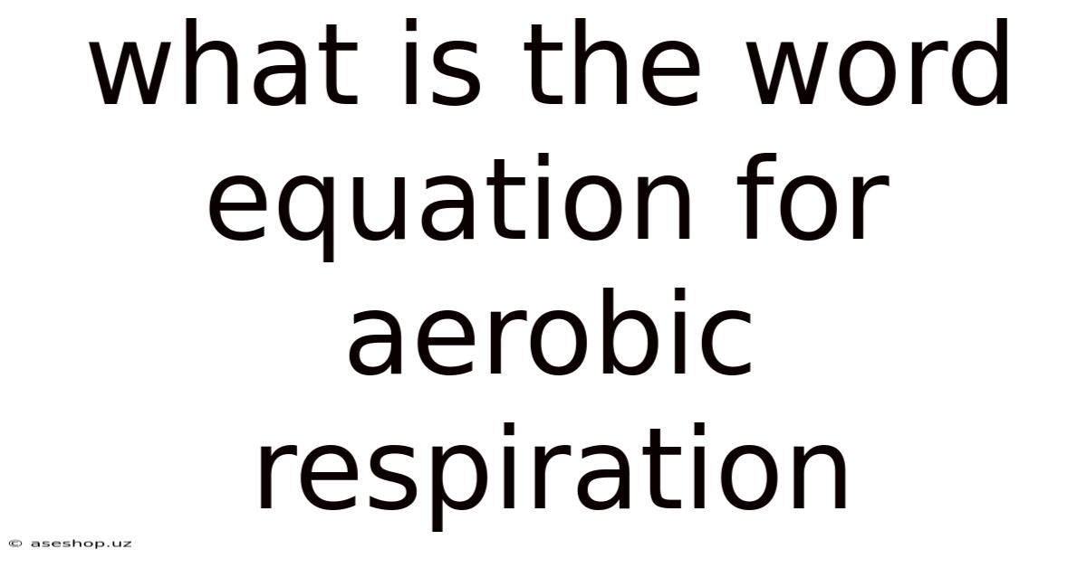 What Is The Word Equation For Aerobic Respiration