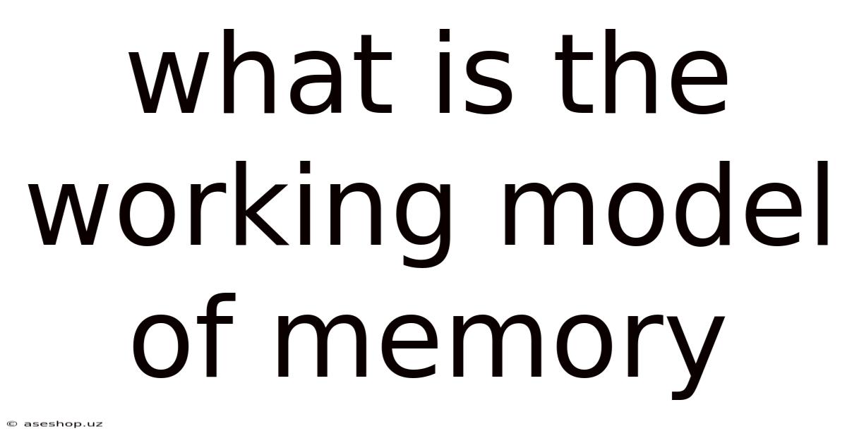What Is The Working Model Of Memory