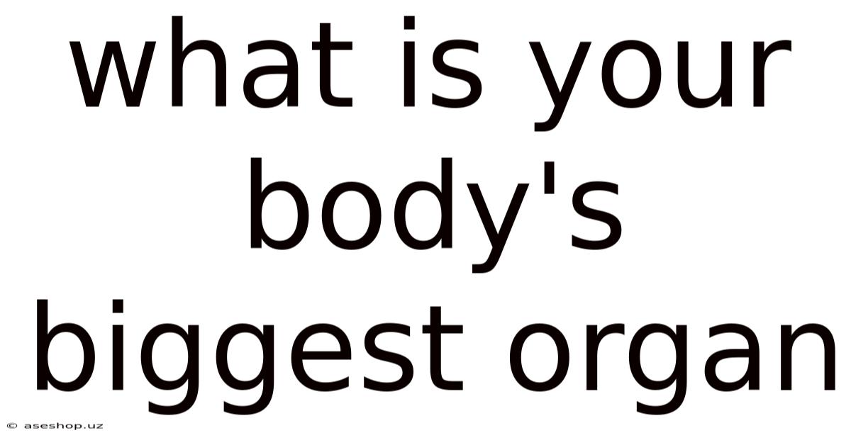 What Is Your Body's Biggest Organ