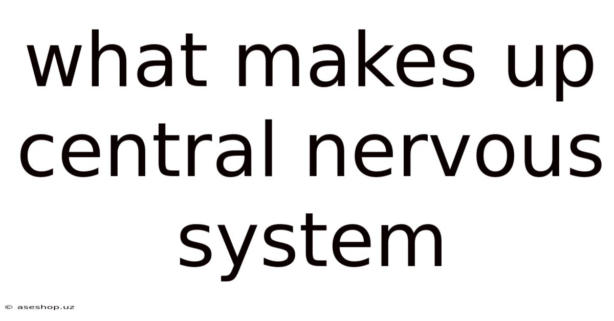 What Makes Up Central Nervous System