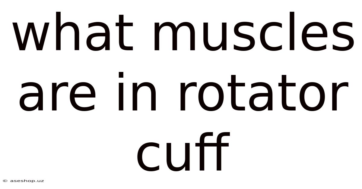 What Muscles Are In Rotator Cuff
