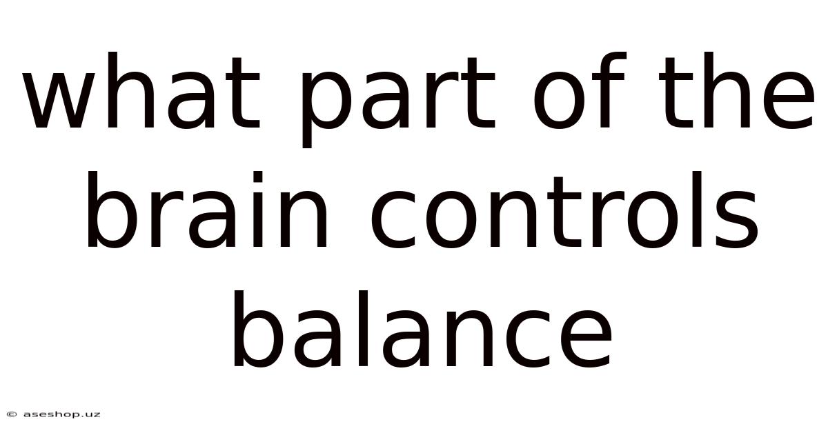 What Part Of The Brain Controls Balance