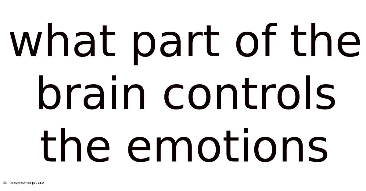 What Part Of The Brain Controls The Emotions