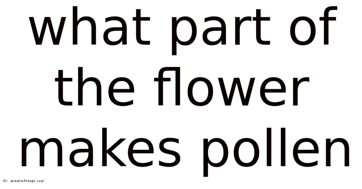 What Part Of The Flower Makes Pollen