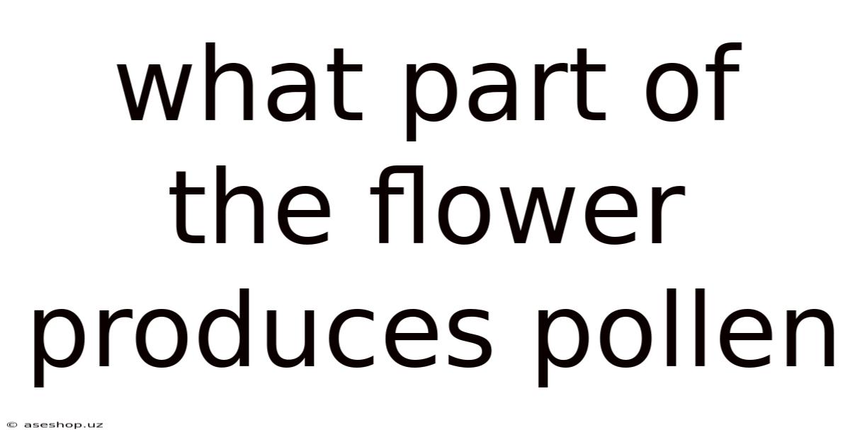 What Part Of The Flower Produces Pollen