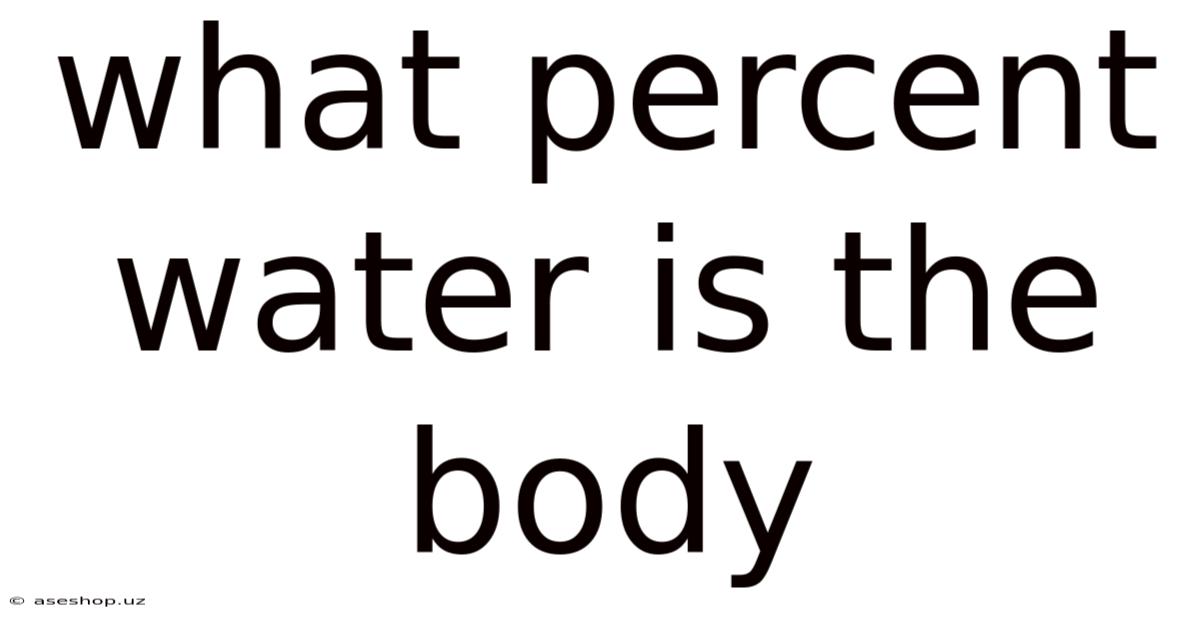 What Percent Water Is The Body