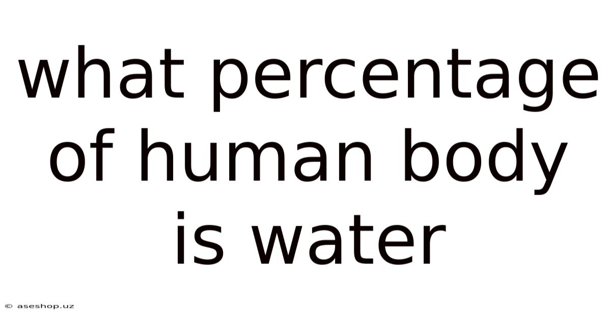 What Percentage Of Human Body Is Water