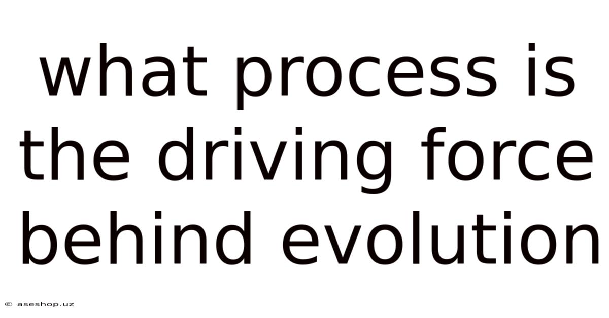 What Process Is The Driving Force Behind Evolution