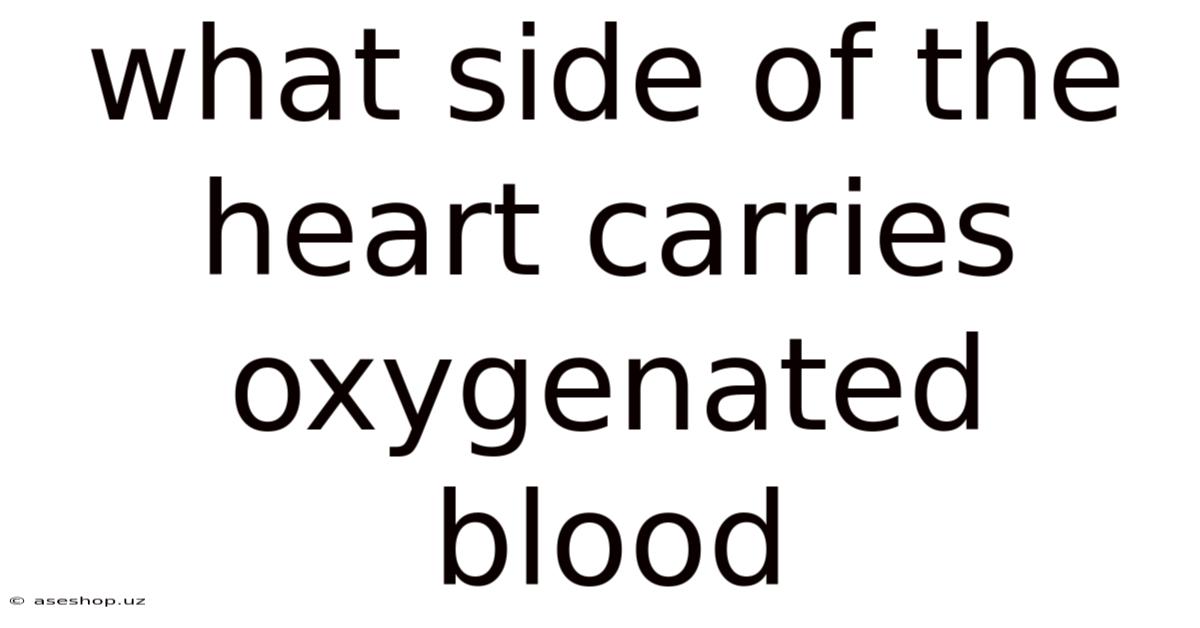 What Side Of The Heart Carries Oxygenated Blood