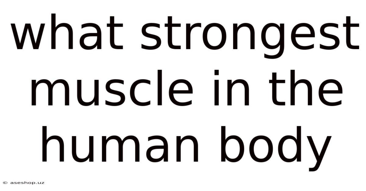 What Strongest Muscle In The Human Body