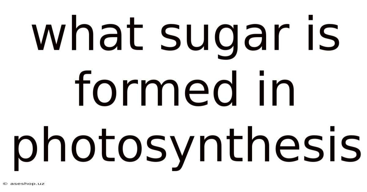 What Sugar Is Formed In Photosynthesis
