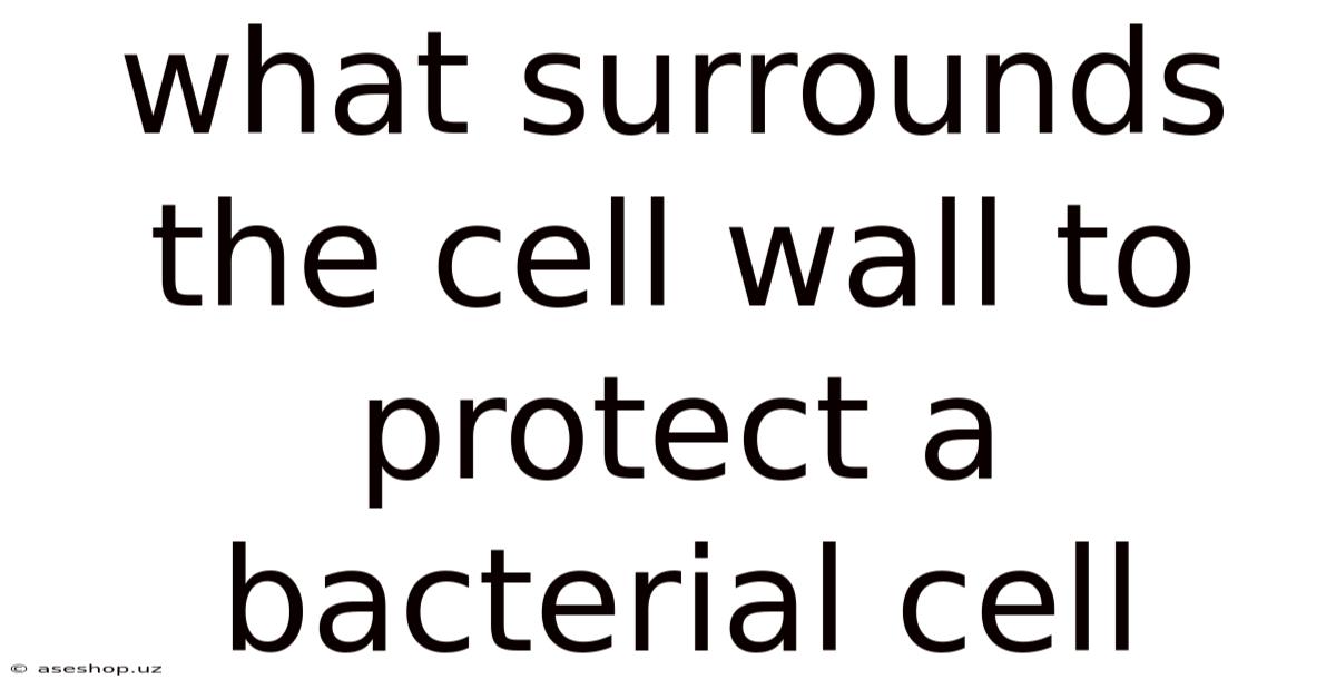 What Surrounds The Cell Wall To Protect A Bacterial Cell