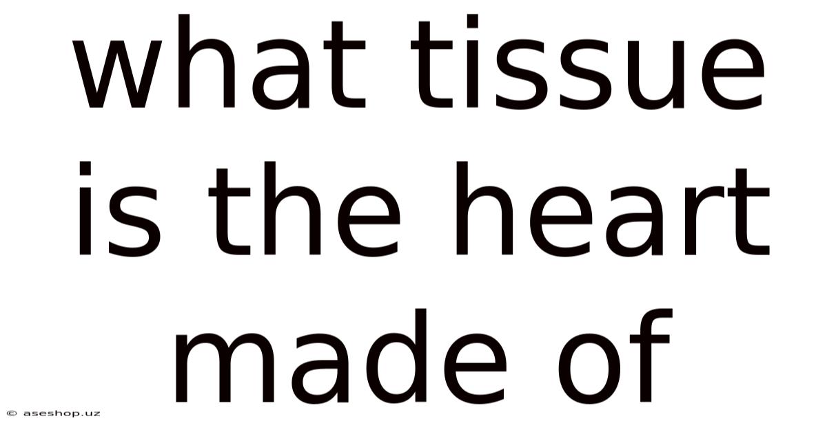 What Tissue Is The Heart Made Of