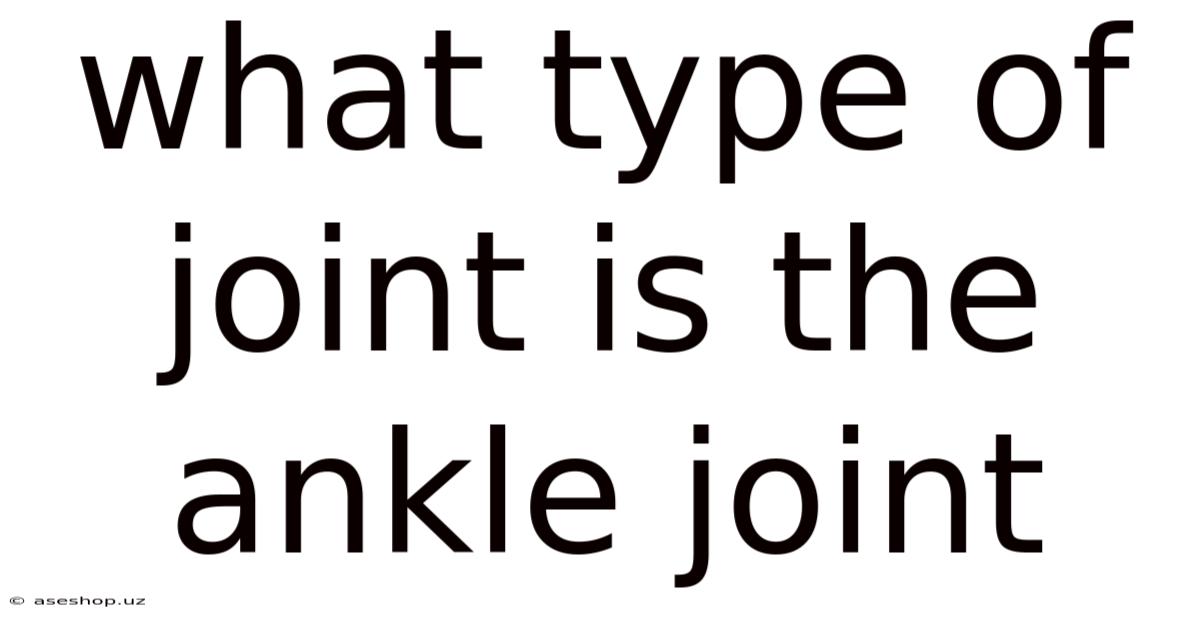 What Type Of Joint Is The Ankle Joint