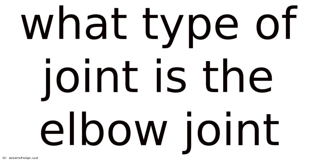 What Type Of Joint Is The Elbow Joint