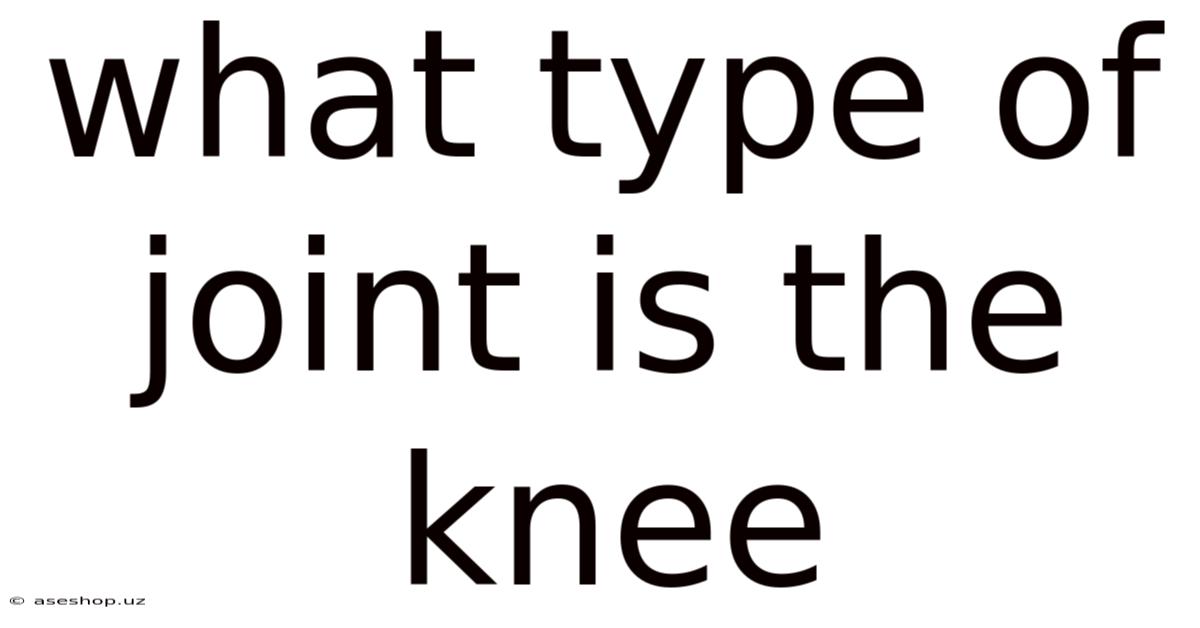 What Type Of Joint Is The Knee