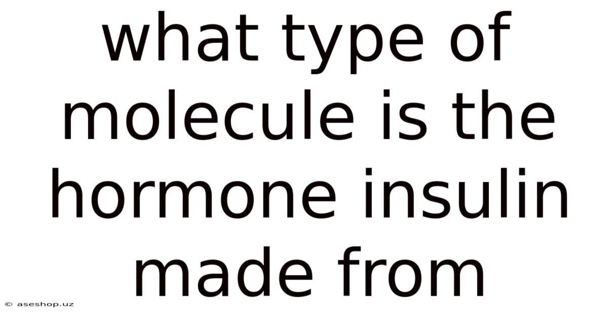 What Type Of Molecule Is The Hormone Insulin Made From