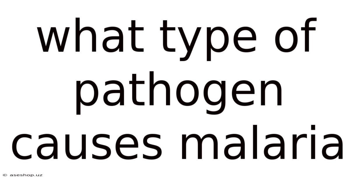 What Type Of Pathogen Causes Malaria