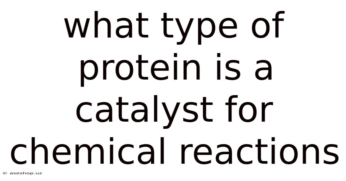 What Type Of Protein Is A Catalyst For Chemical Reactions