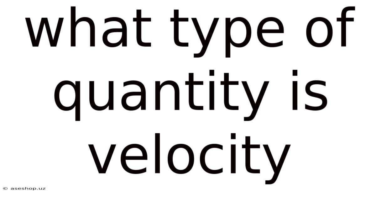What Type Of Quantity Is Velocity