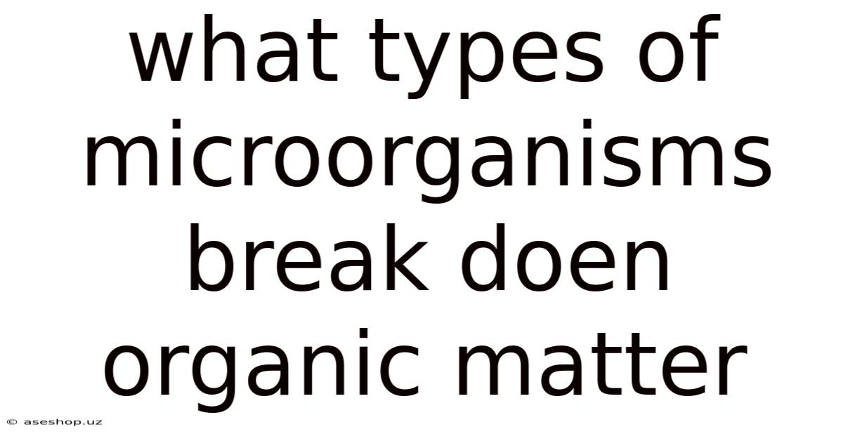 What Types Of Microorganisms Break Doen Organic Matter
