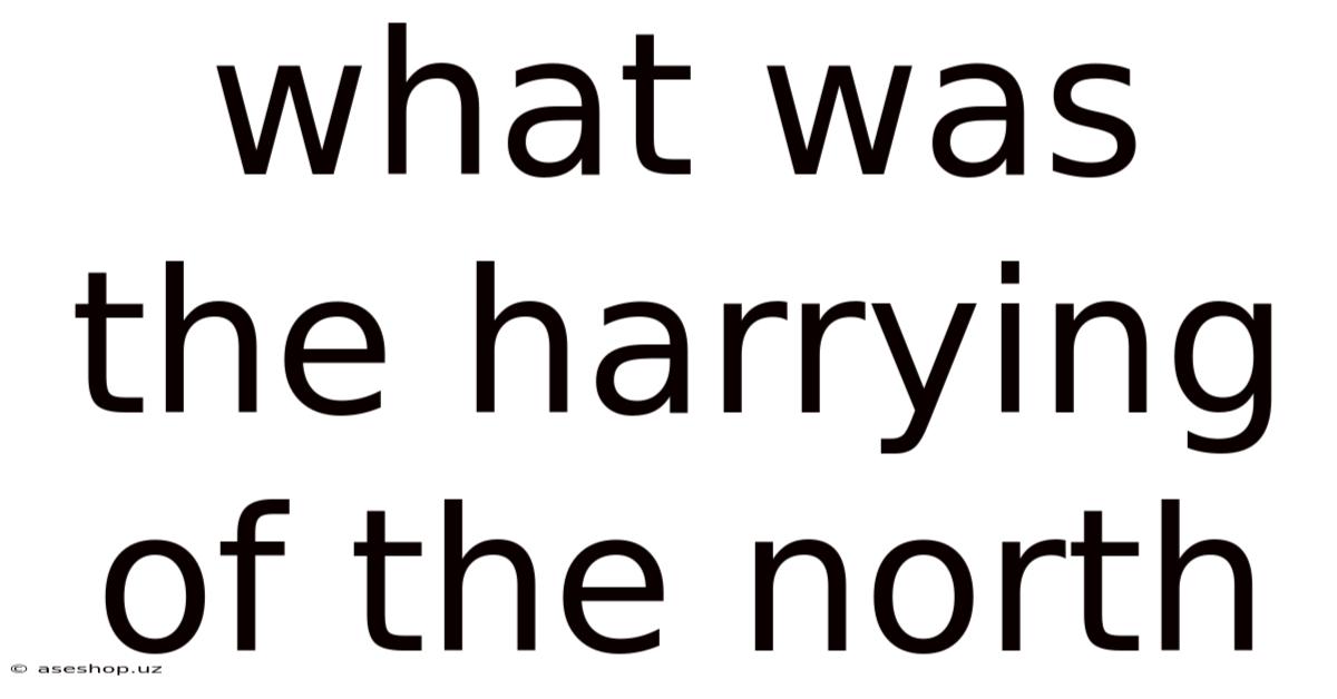 What Was The Harrying Of The North
