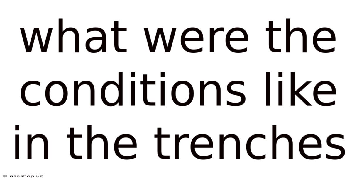 What Were The Conditions Like In The Trenches