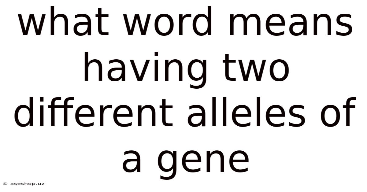 What Word Means Having Two Different Alleles Of A Gene