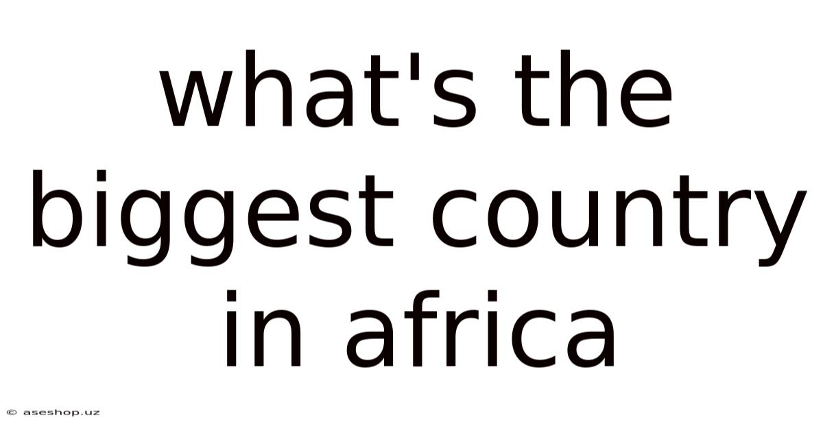 What's The Biggest Country In Africa