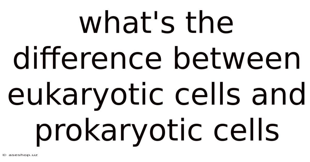 What's The Difference Between Eukaryotic Cells And Prokaryotic Cells