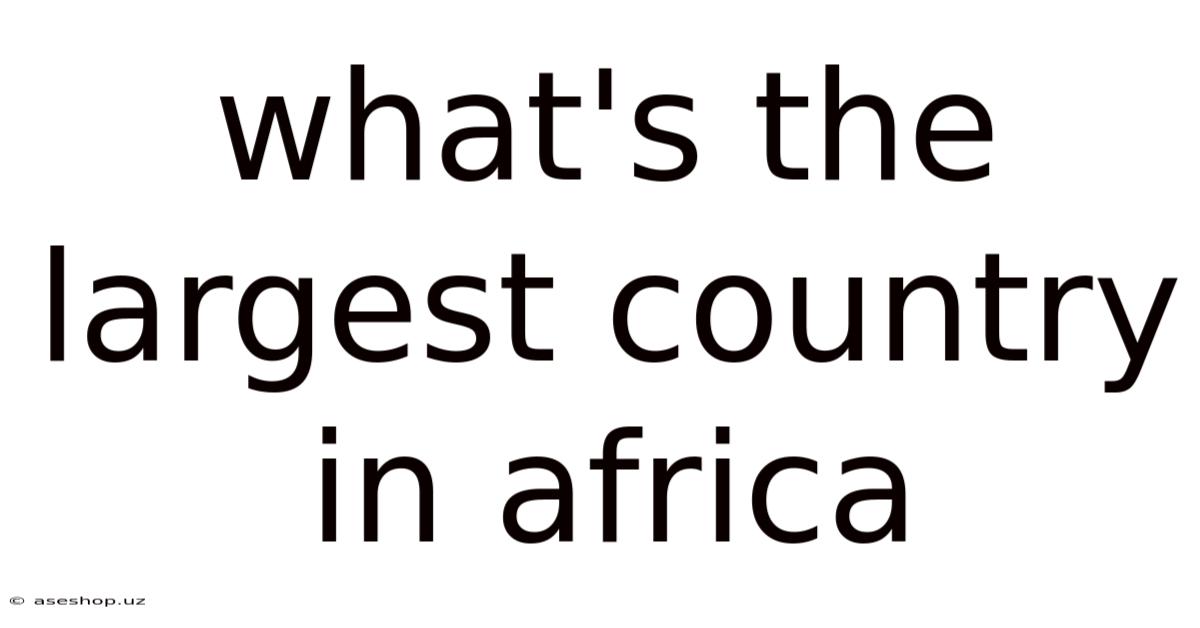 What's The Largest Country In Africa