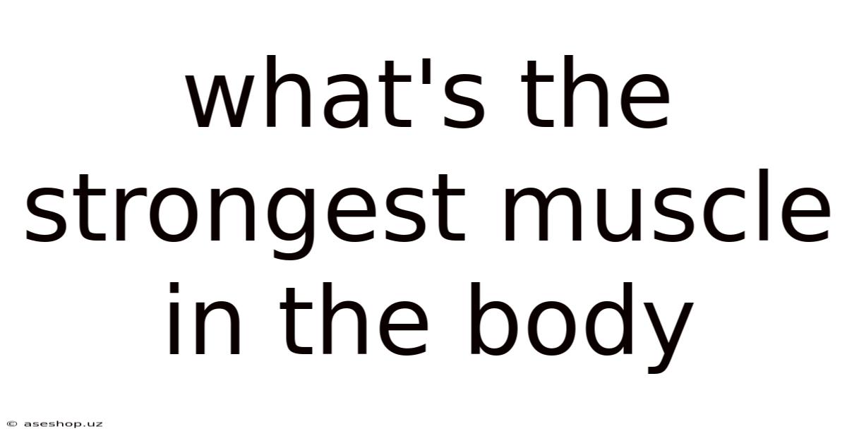 What's The Strongest Muscle In The Body