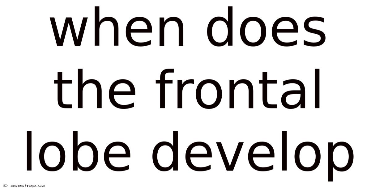 When Does The Frontal Lobe Develop
