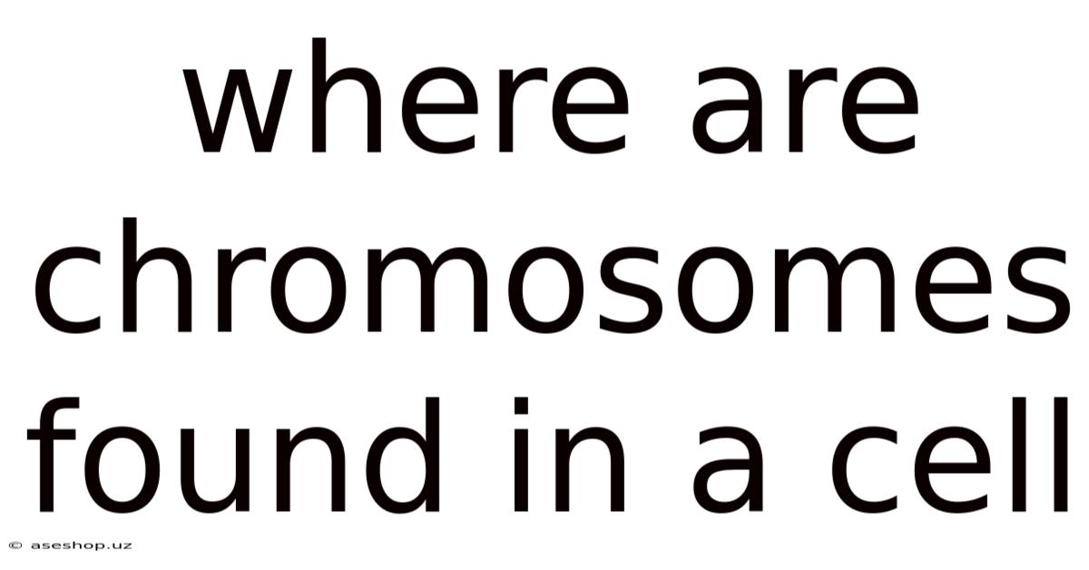 Where Are Chromosomes Found In A Cell