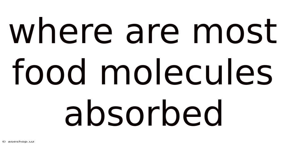 Where Are Most Food Molecules Absorbed